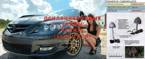 дурь Нефтекумск